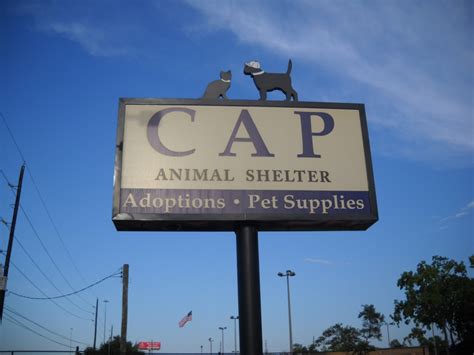 Cap animal shelter katy - Killing feral cats outside of a veterinary or shelter setting is illegal and is animal cruelty. ... Citizens for Animal Protection - CAP. 17555 Katy Fwy, Houston, TX 77094. Click for price list and more info. Houston Humane Society.